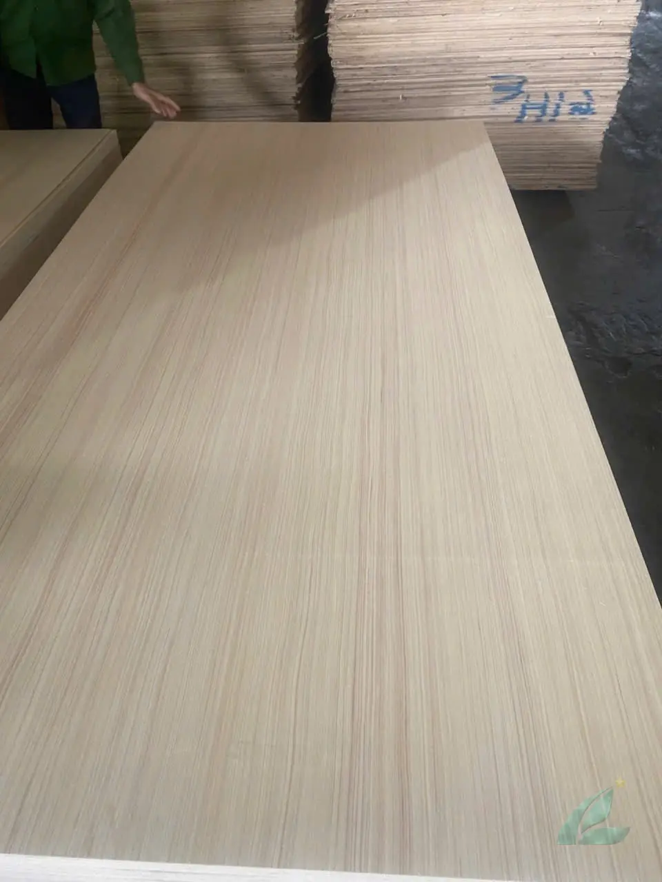 EV plywood Vietnam engineered veneer decorative export hcply 023