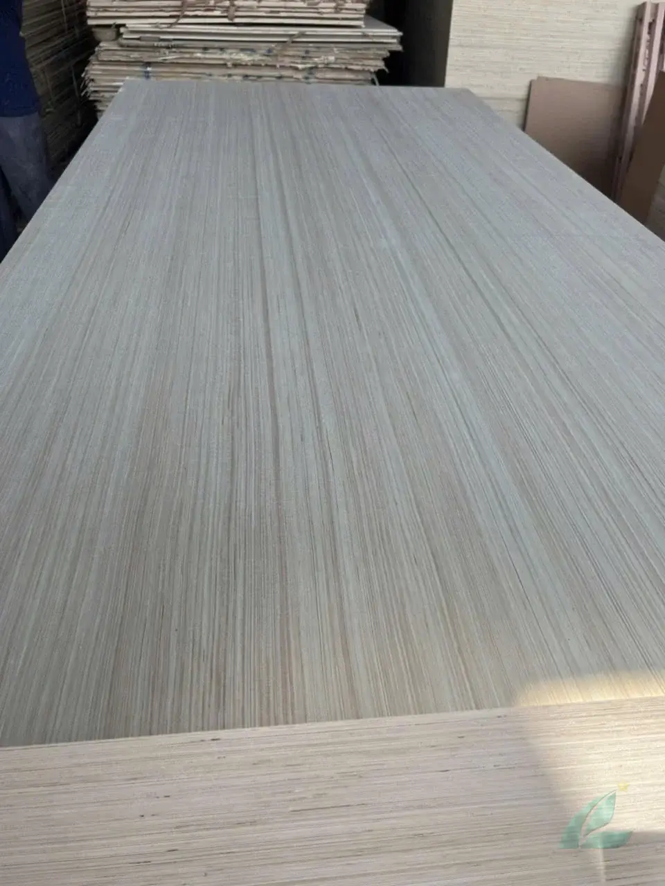 EV plywood Vietnam engineered veneer decorative export hcply 024