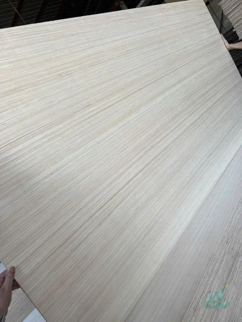 Vietnam plywood face veneer types guide by HCPLY