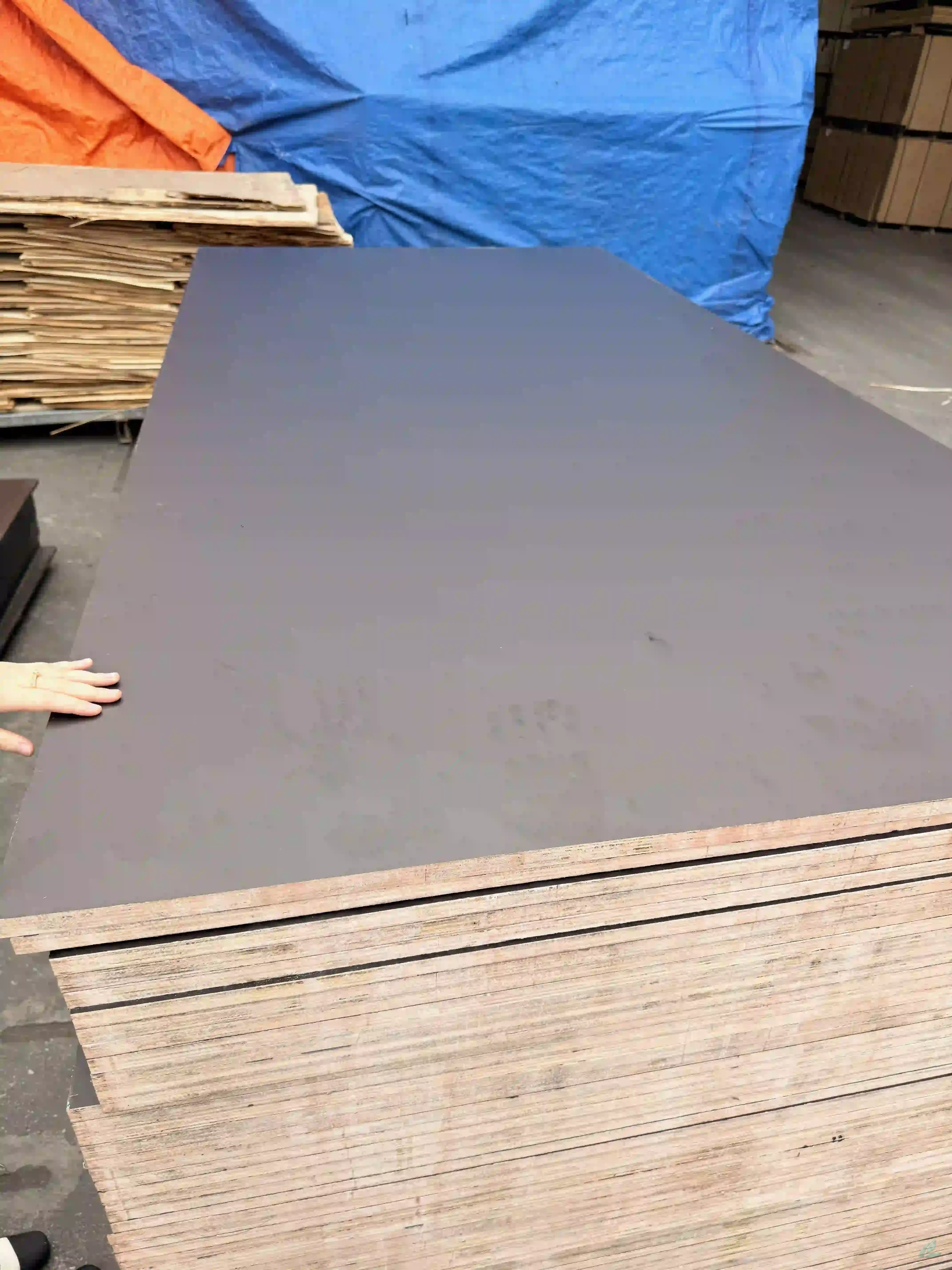 film faced plywood black brown export vietnam construction grade middle east hcply