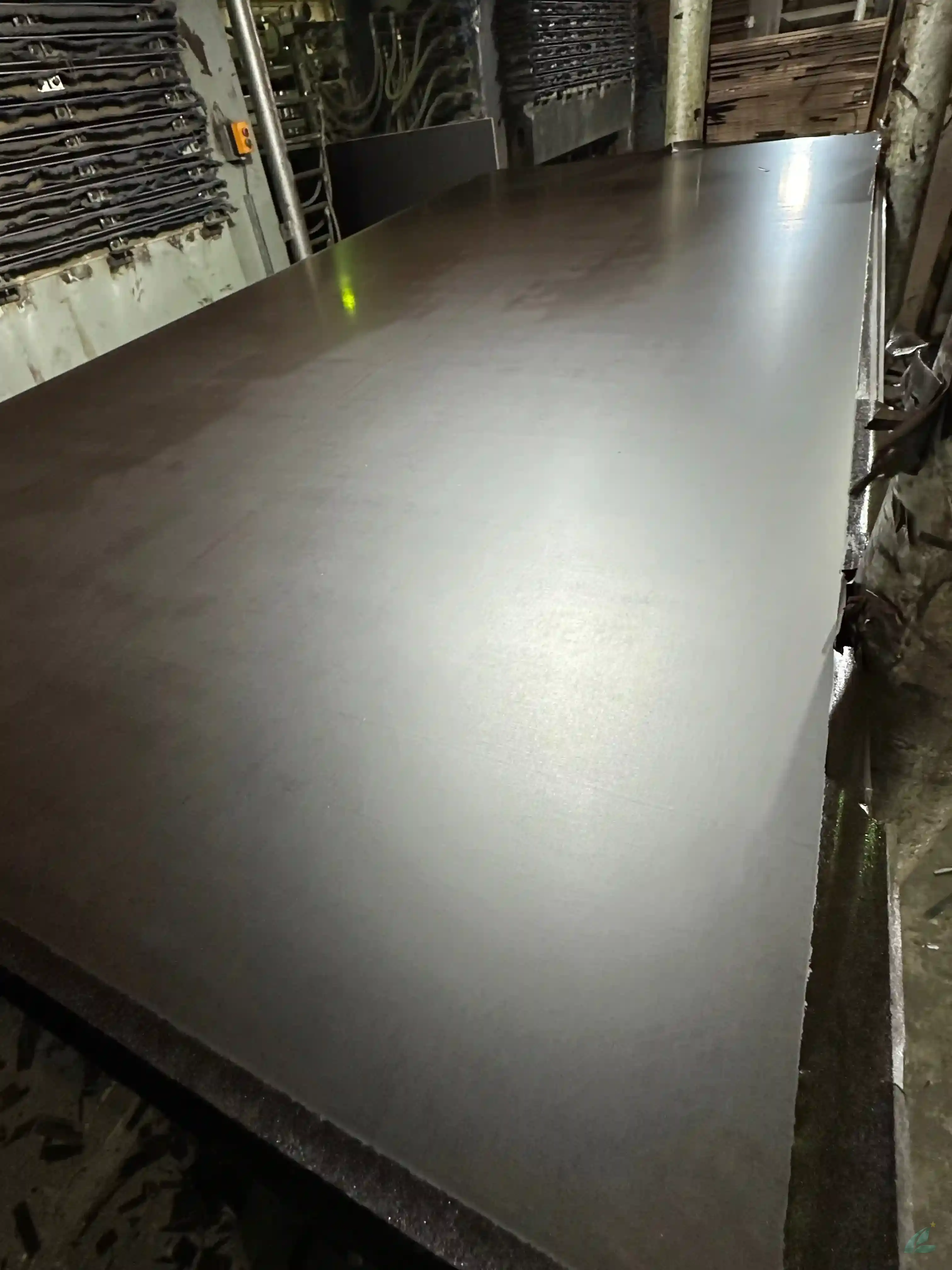 Film faced plywood Vietnam black brown export factory hcply 124