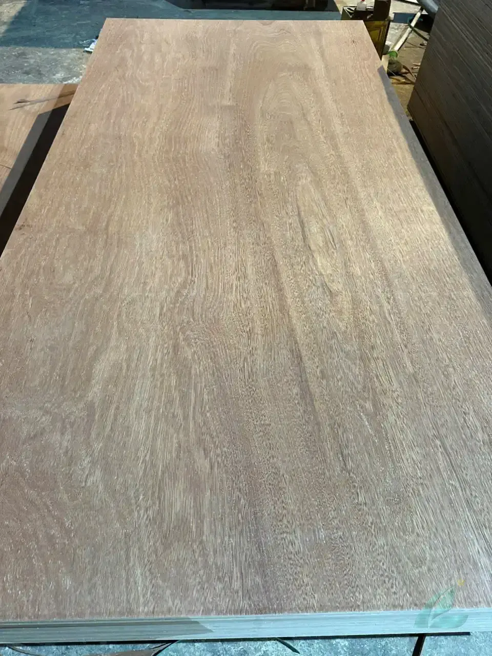 Gurjan Plywood vietnam plywood export hcply