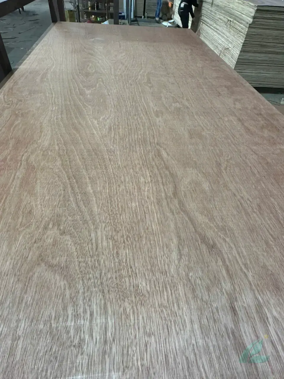 Gurjan plywood Vietnam premium export grade hcply 004