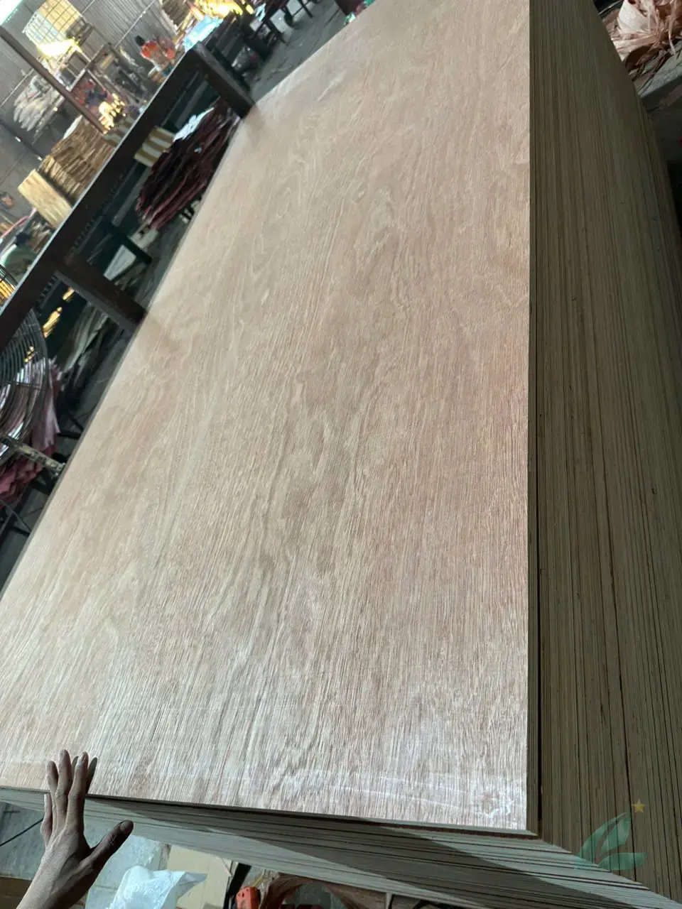 gurjan plywood face veneer close-up from vietnam factory hcply