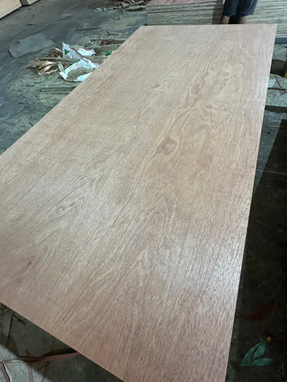 Gurjan plywood Vietnam premium export grade hcply 006