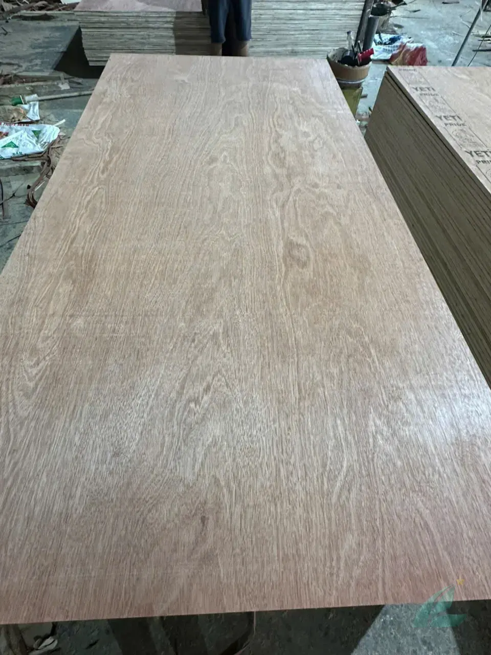 Gurjan plywood Vietnam premium export grade hcply 007