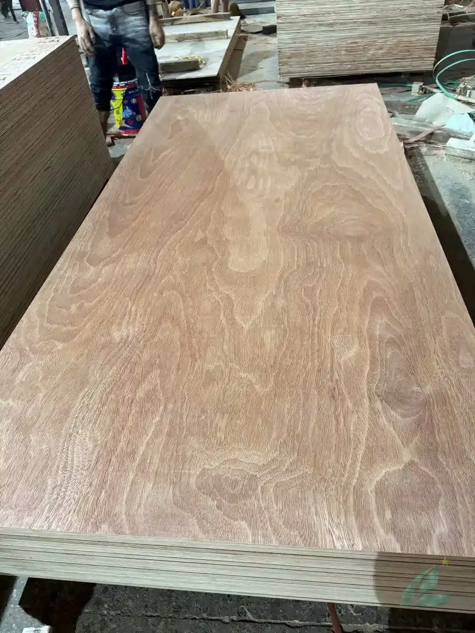 Gurjan plywood Vietnam premium export grade hcply 008