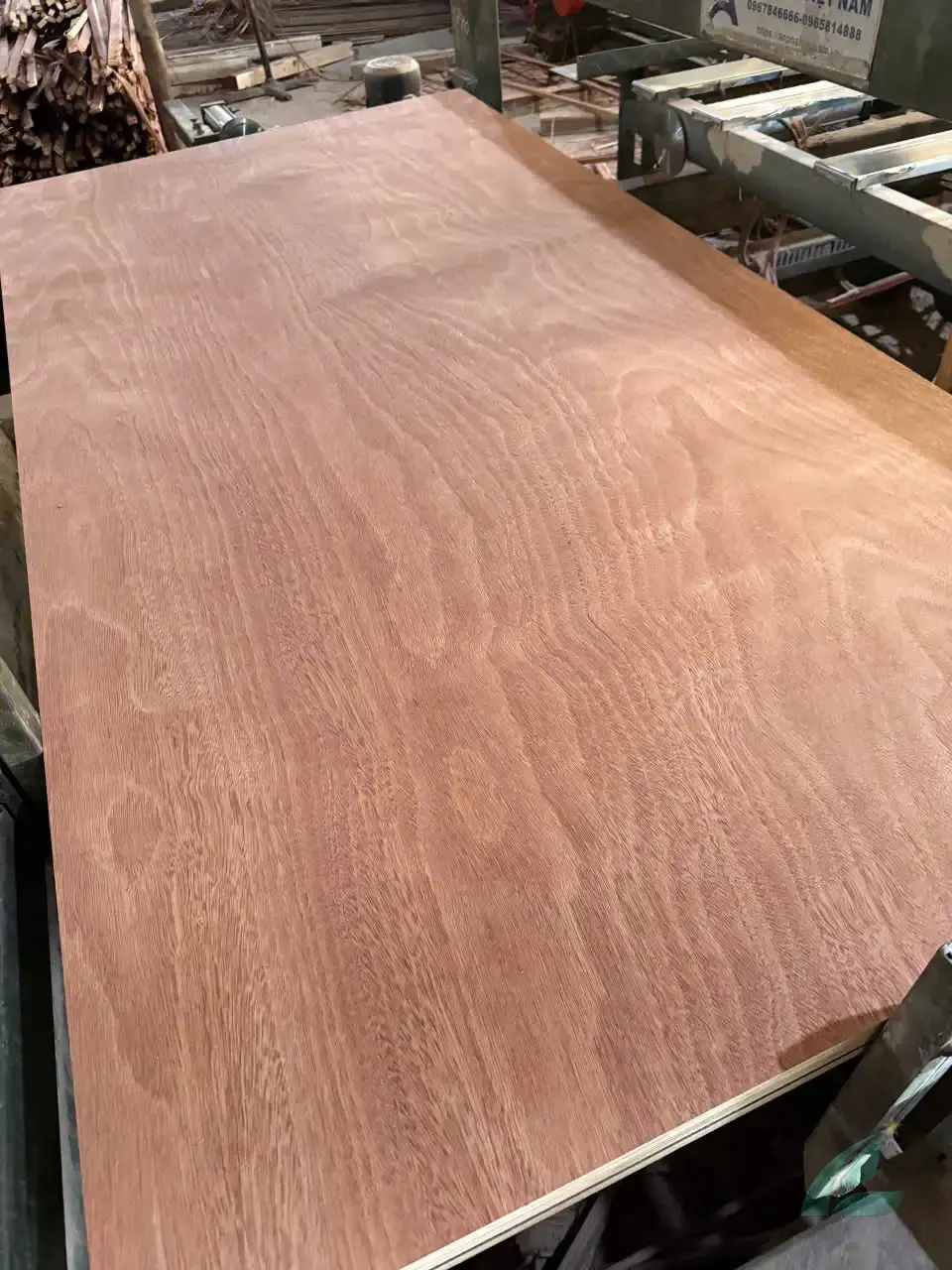 Gurjan plywood Vietnam premium export grade hcply 009