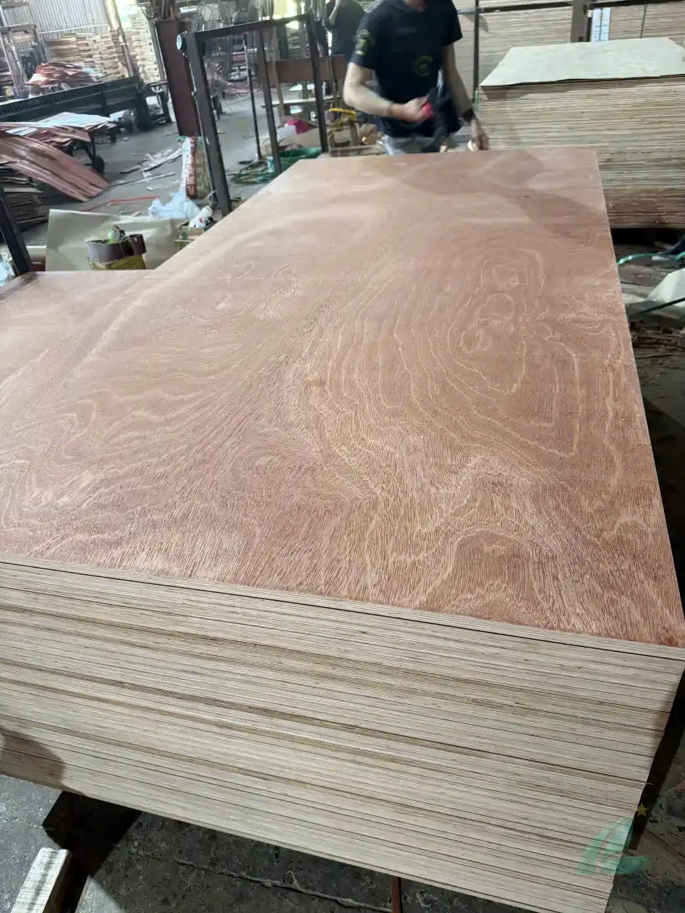 gurjan plywood thickness quality inspection vietnam hcply