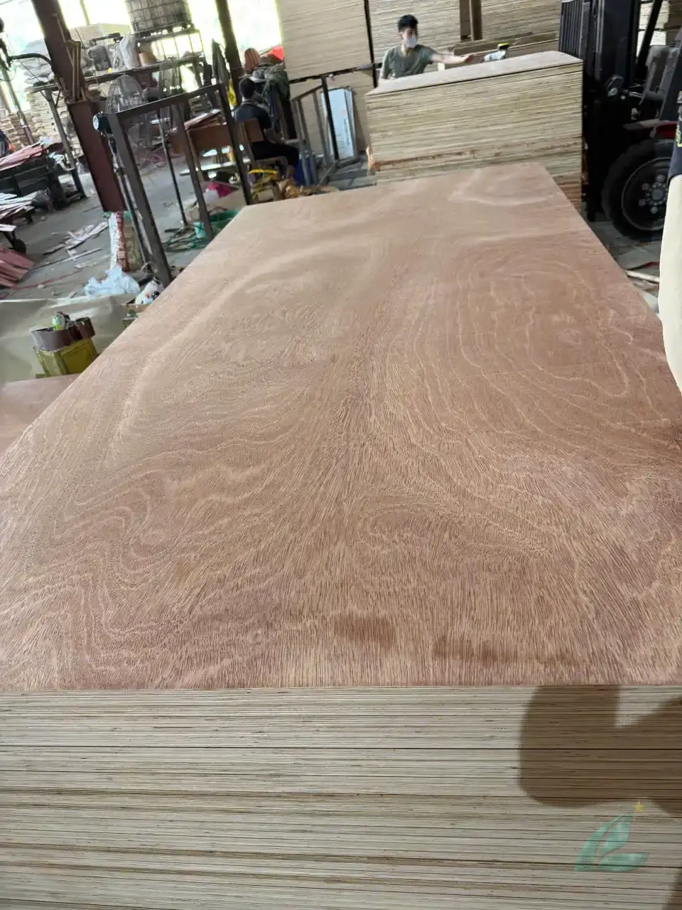 Gurjan plywood Vietnam premium export grade hcply 011