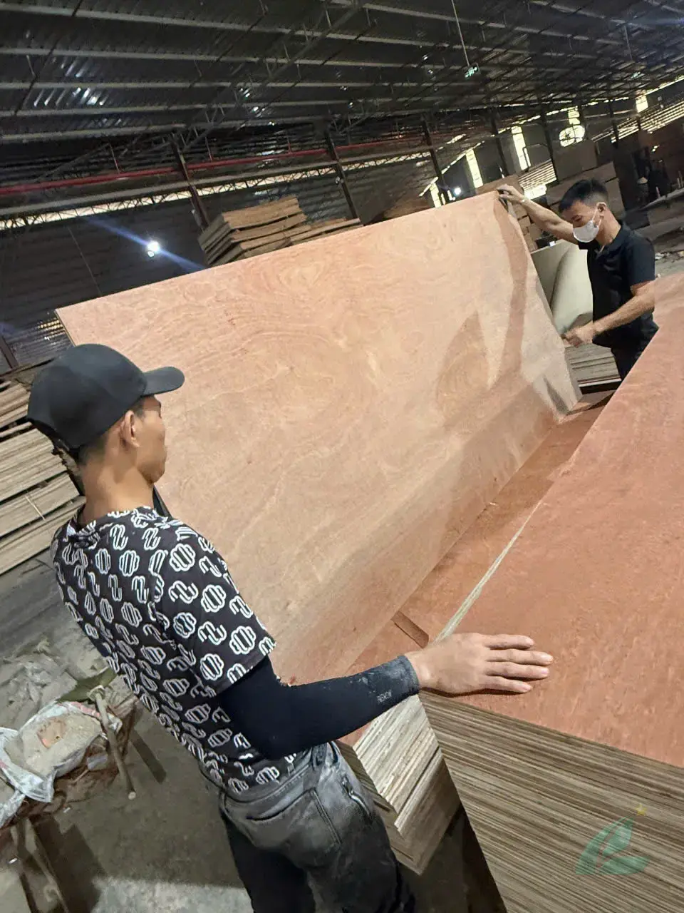 Gurjan plywood Vietnam premium export grade hcply 012