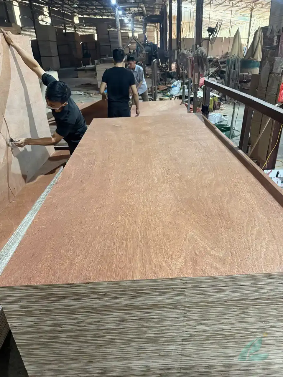 Gurjan plywood Vietnam premium export grade hcply 014
