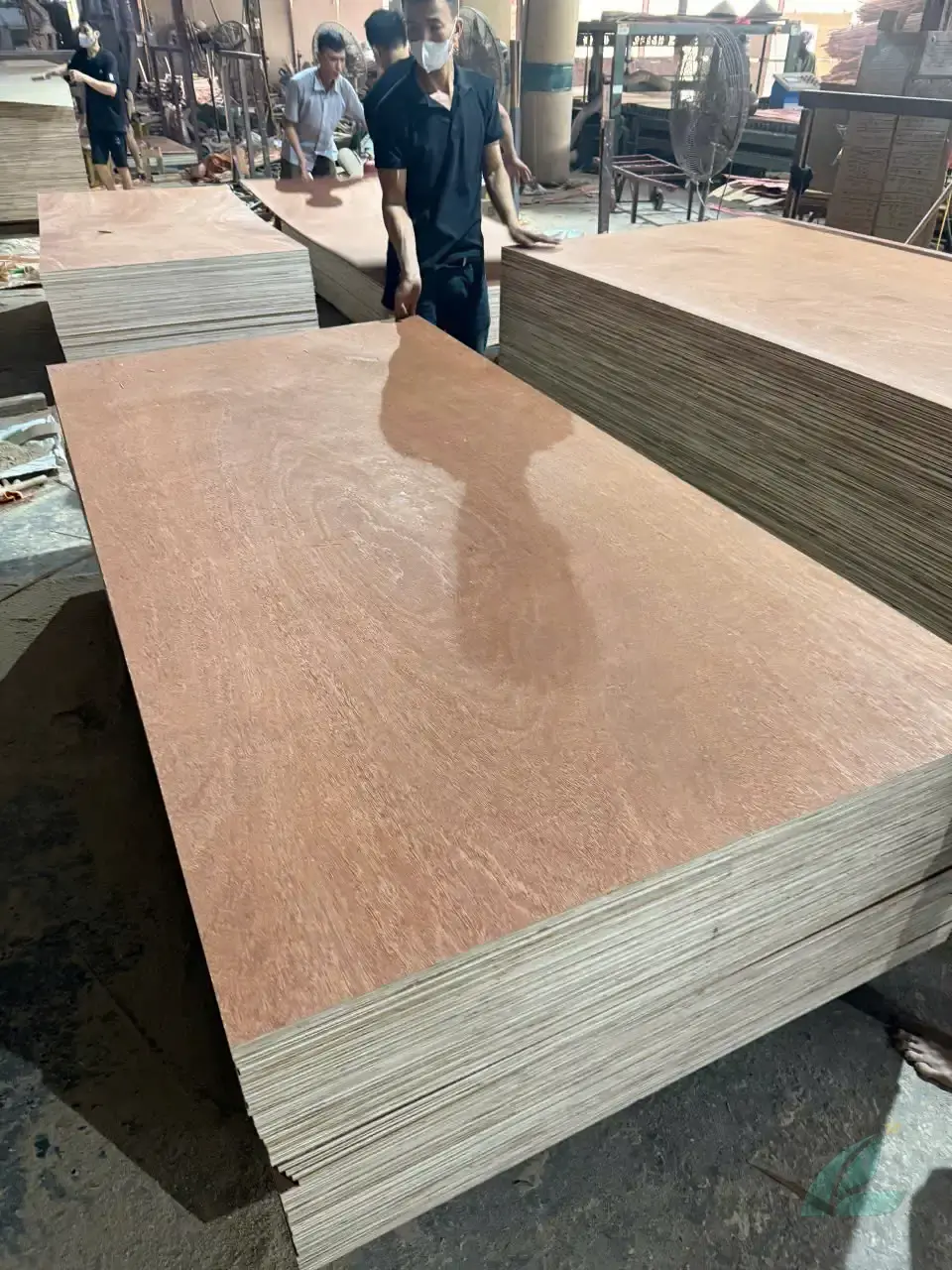 plywood stacked pallets ready for container loading hcply