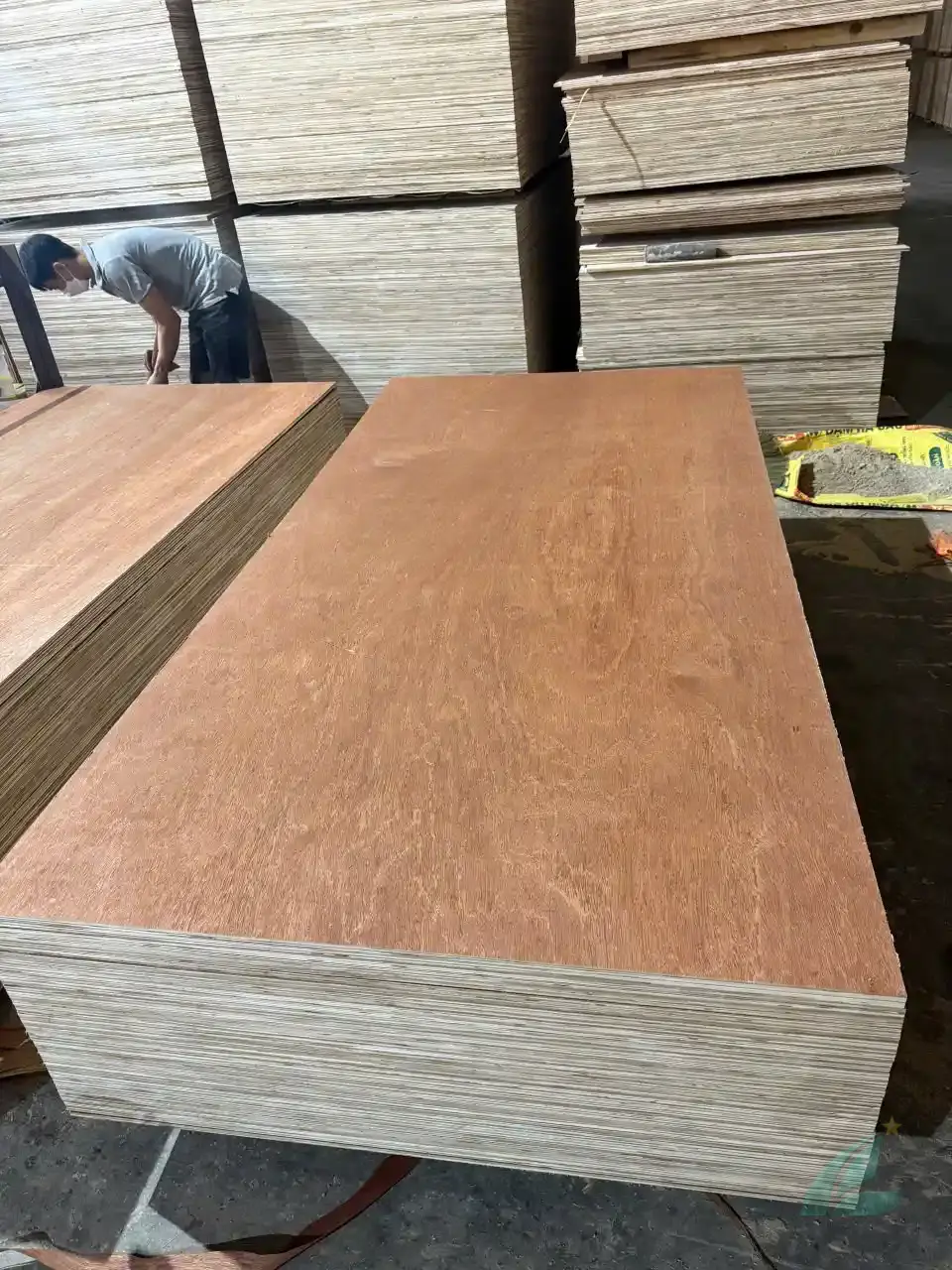 Gurjan plywood Vietnam premium export grade hcply 017