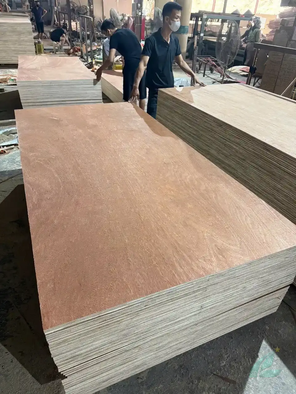 Gurjan plywood Vietnam premium export grade hcply 018