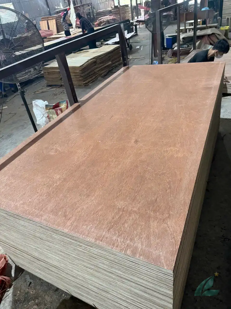 Gurjan plywood Vietnam premium export grade hcply 019