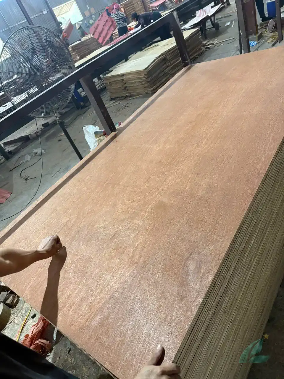 Gurjan plywood Vietnam premium export grade hcply 020