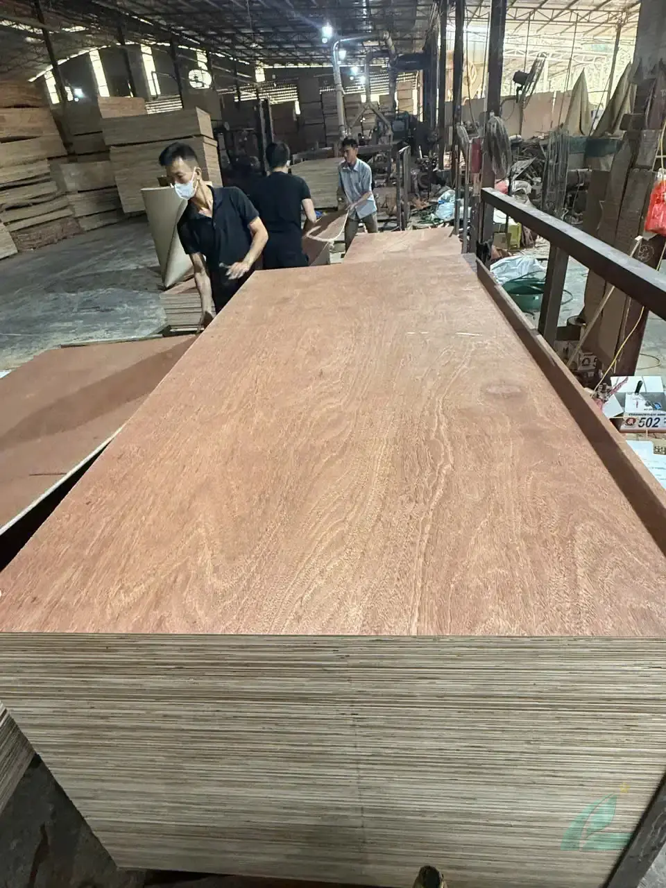 Gurjan plywood Vietnam premium export grade hcply 021