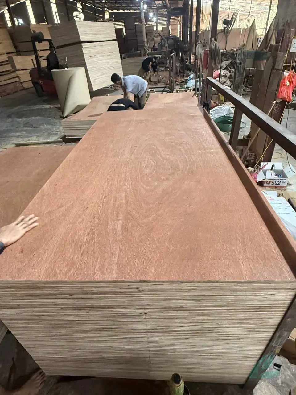 Gurjan plywood Vietnam premium export grade hcply 022