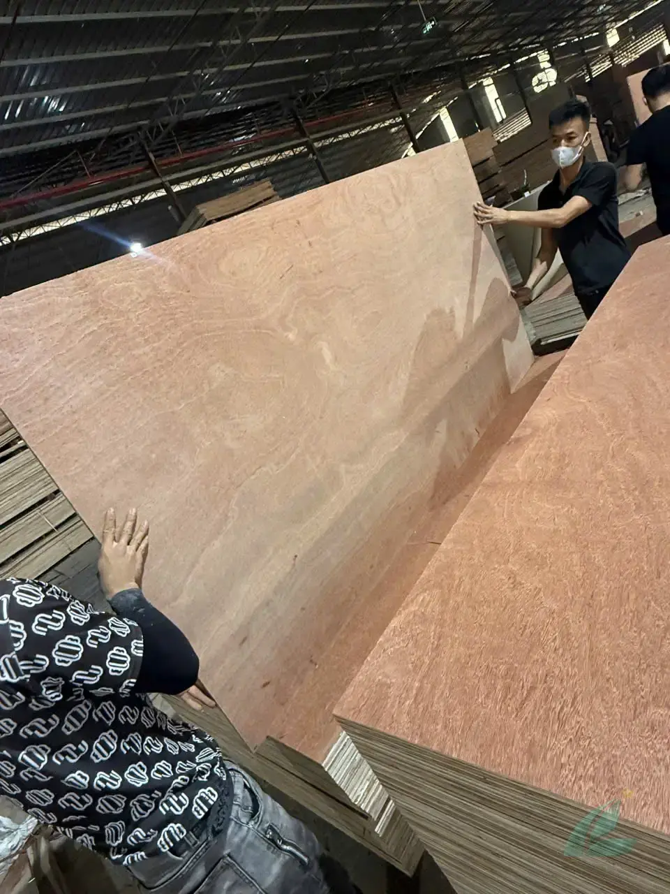 Gurjan plywood Vietnam premium export grade hcply 023