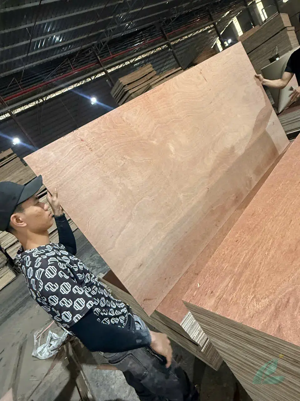 Gurjan plywood Vietnam premium export grade hcply 024