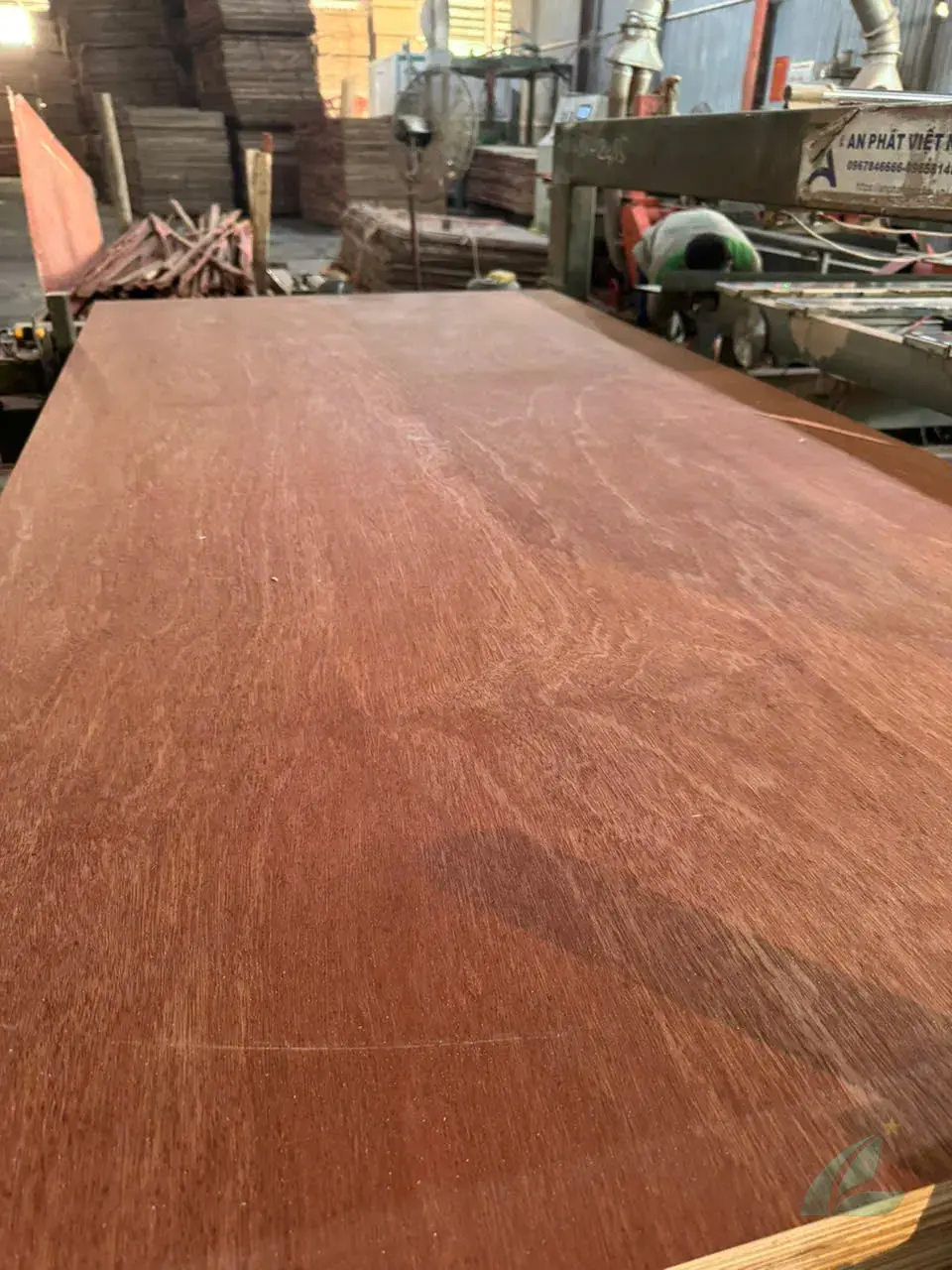 gurjan plywood vietnam premium export furniture grade hcply