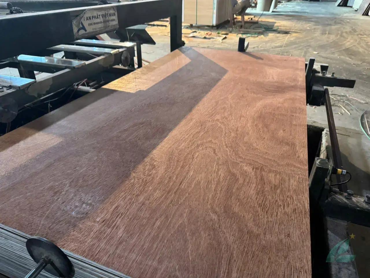 Gurjan plywood Vietnam premium export grade hcply 028