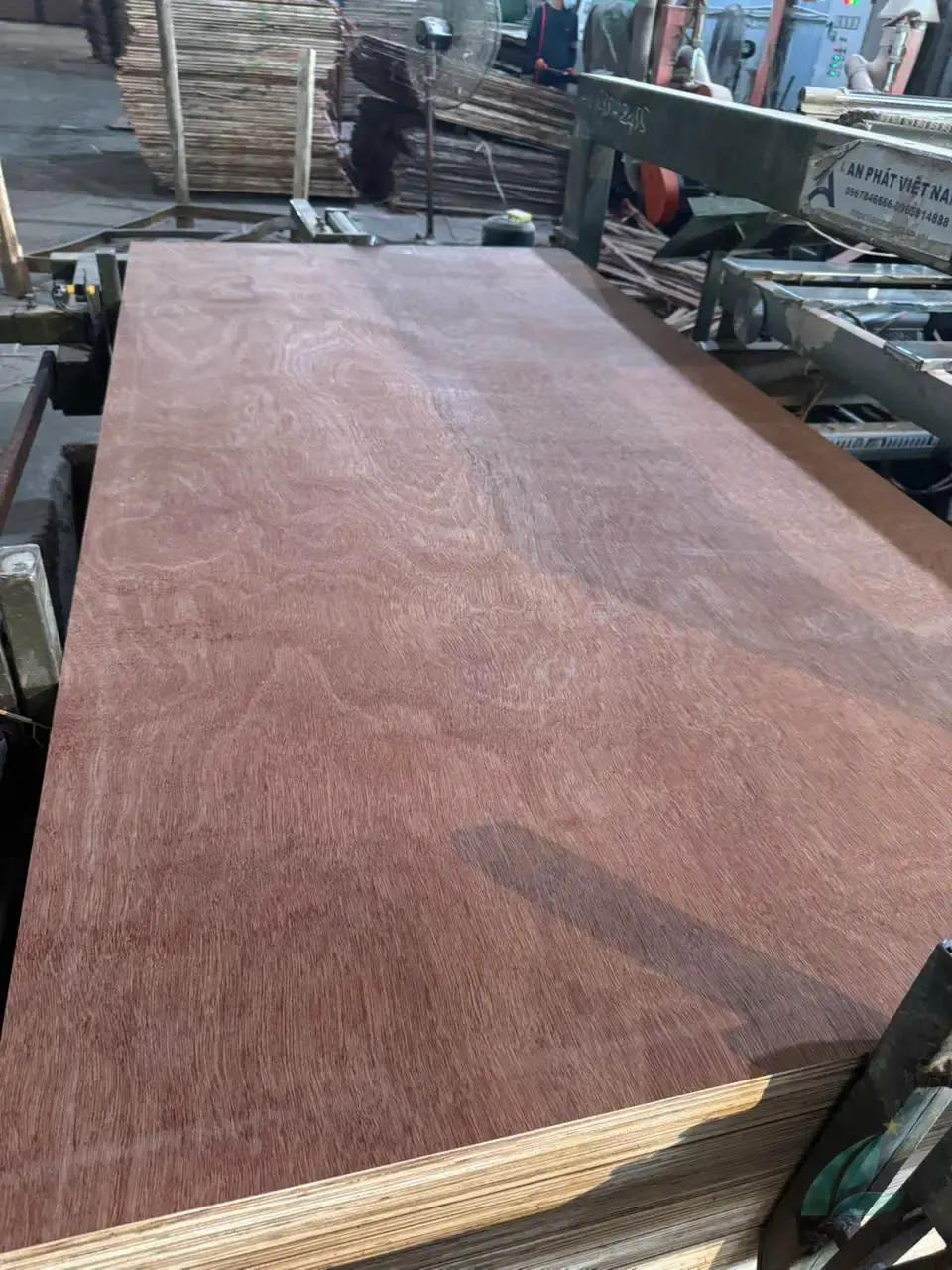 Gurjan plywood Vietnam premium export grade hcply 029