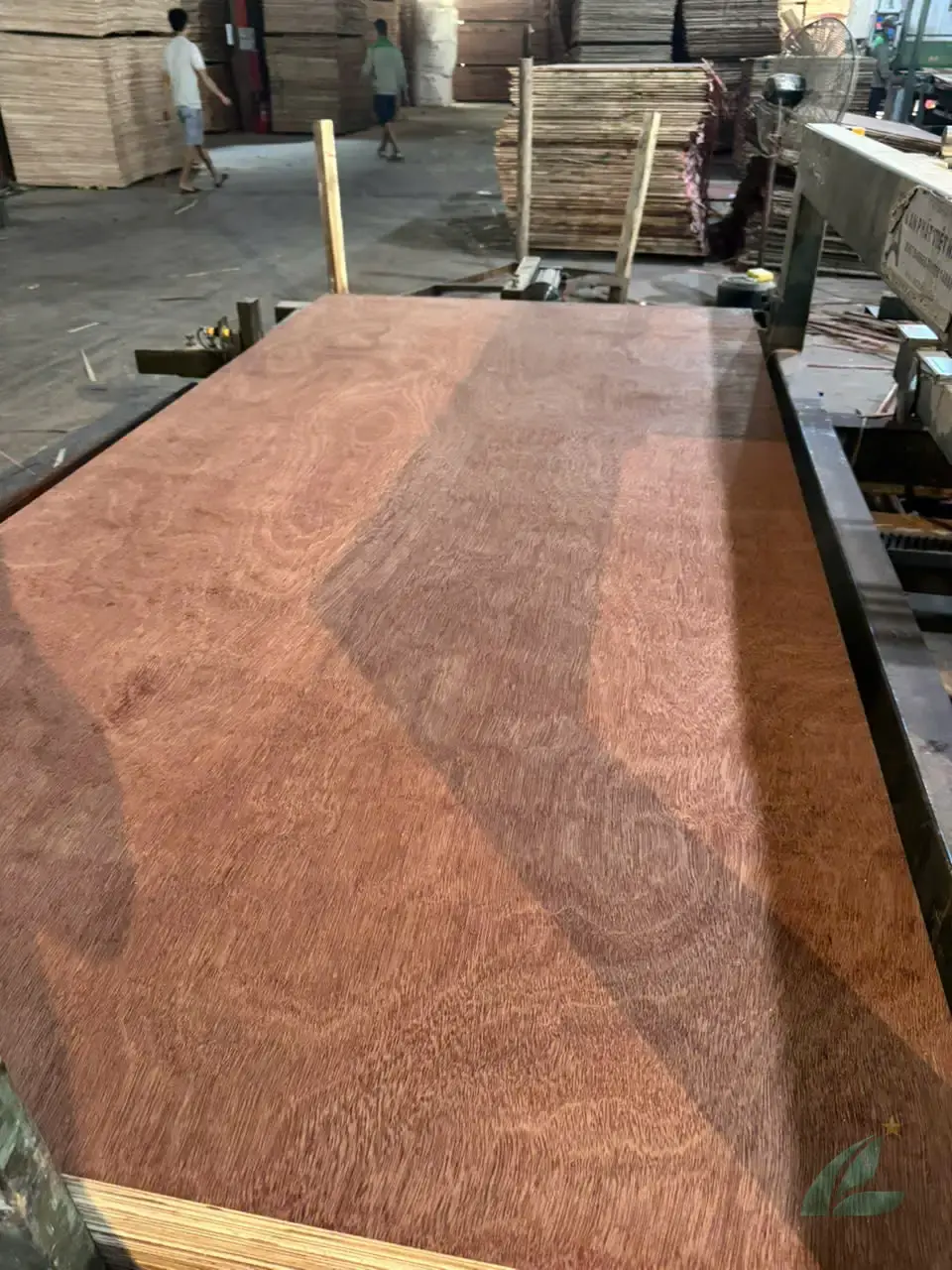 Gurjan plywood Vietnam premium export grade hcply 030