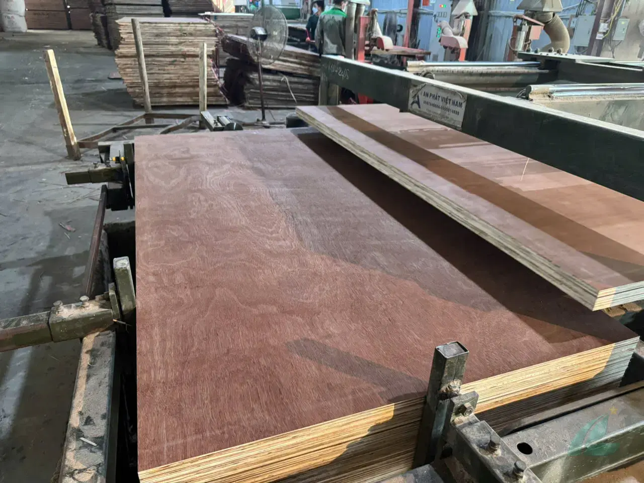 Gurjan plywood Vietnam premium export grade hcply 031
