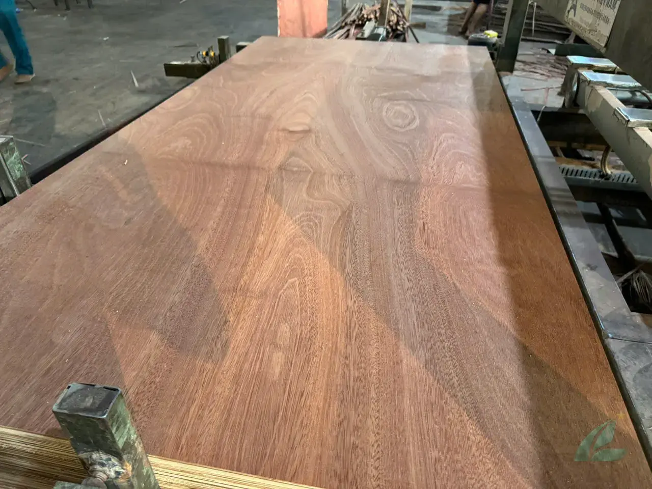 Gurjan plywood Vietnam premium export grade hcply 033