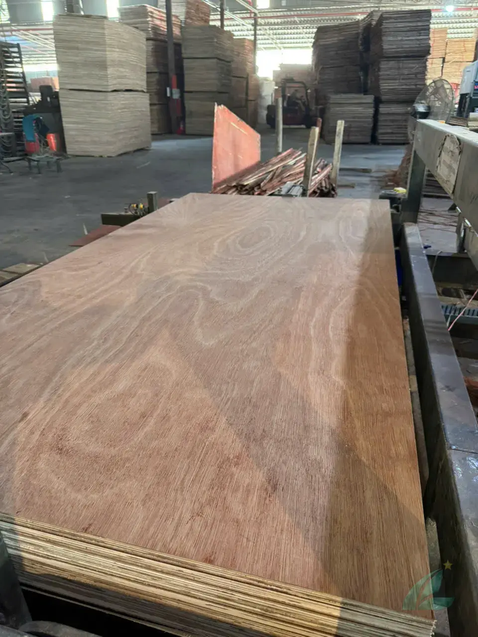 Gurjan plywood Vietnam premium export grade hcply 034