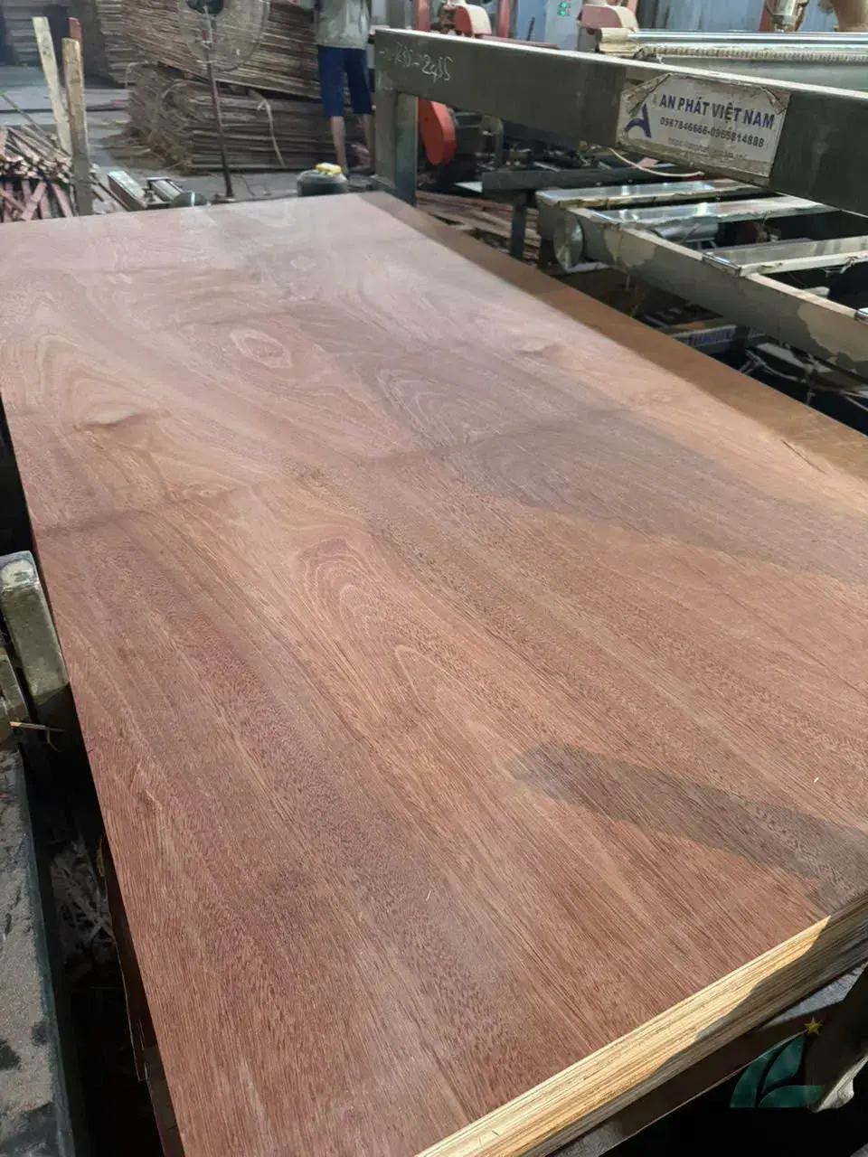 Gurjan plywood Vietnam premium export grade hcply 035