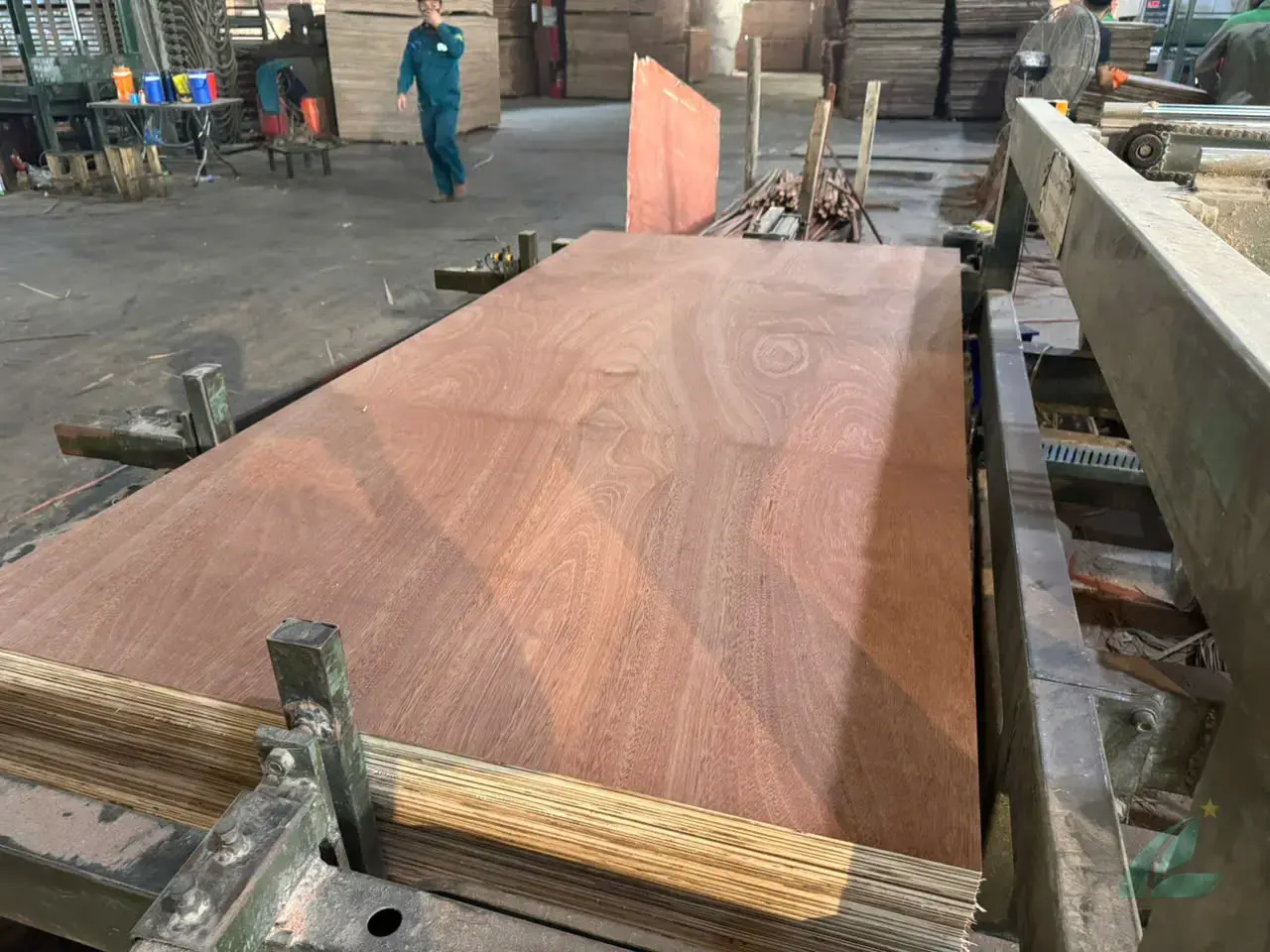 Gurjan plywood Vietnam premium export grade hcply 036