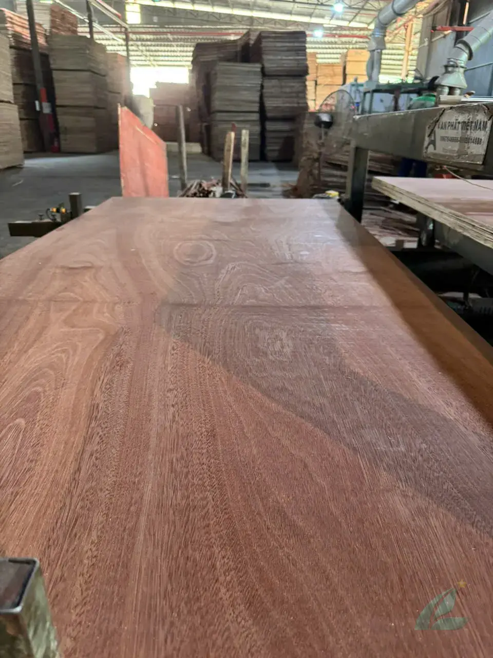 Gurjan plywood Vietnam premium export grade hcply 039