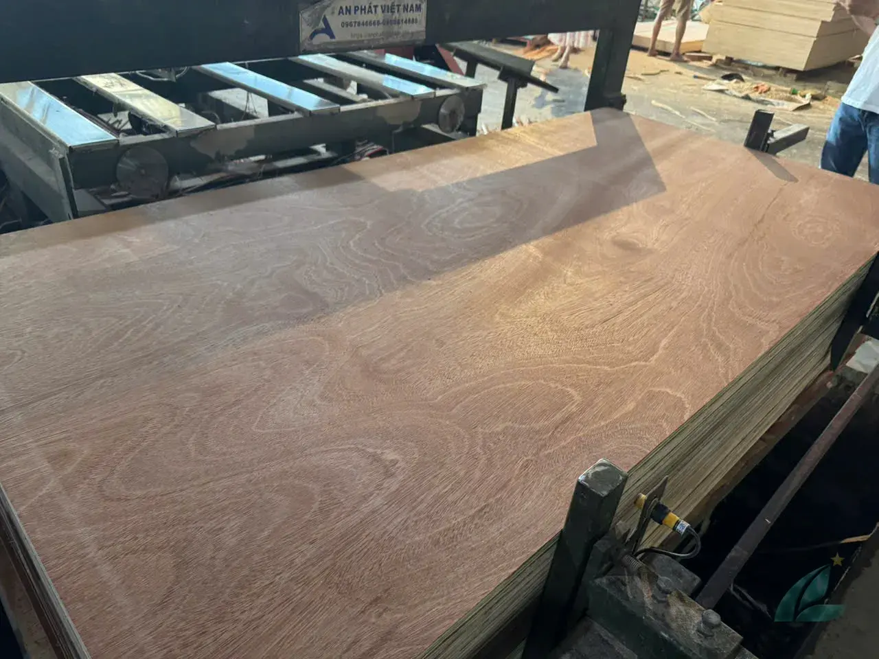 Gurjan plywood Vietnam premium export grade hcply 041