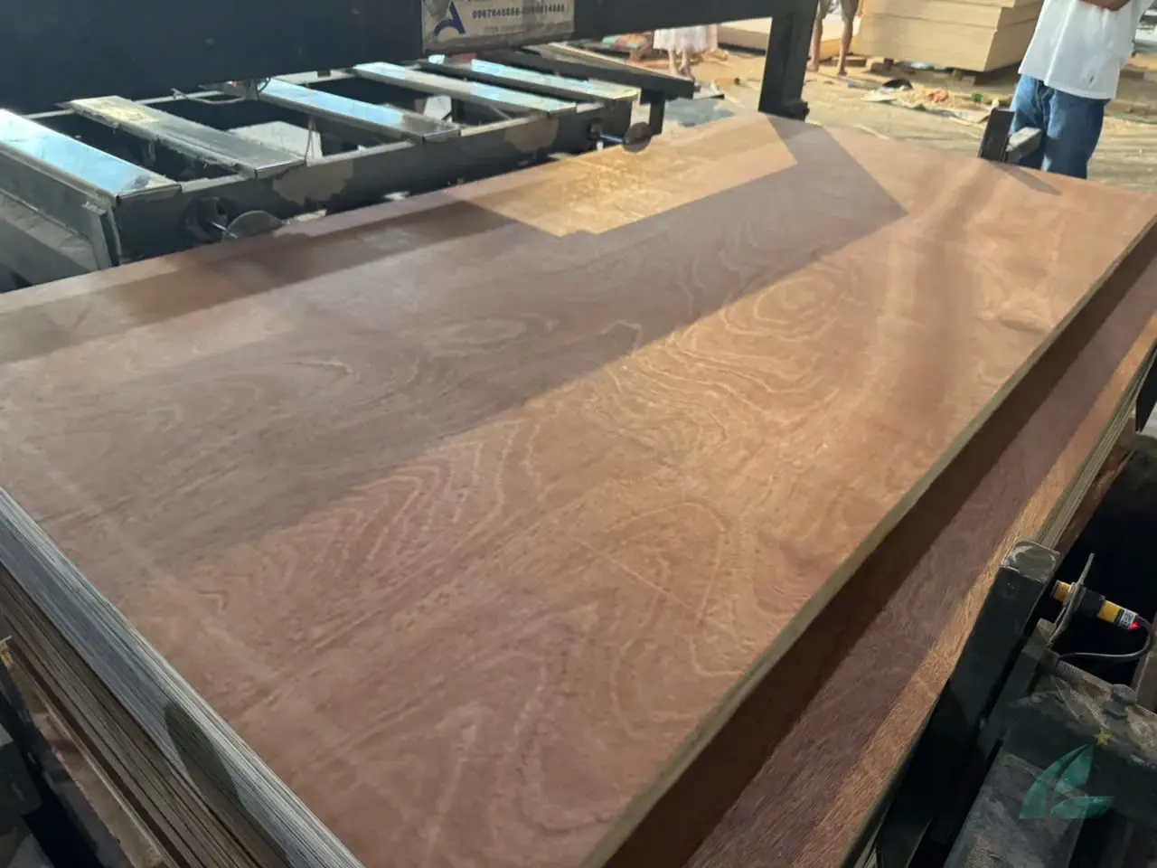 Gurjan plywood Vietnam premium export grade hcply 042
