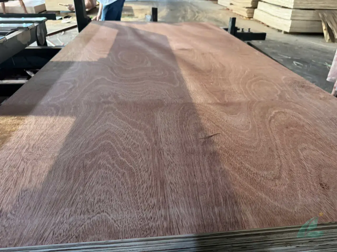 gurjan plywood okoume comparison vietnam export grade hcply