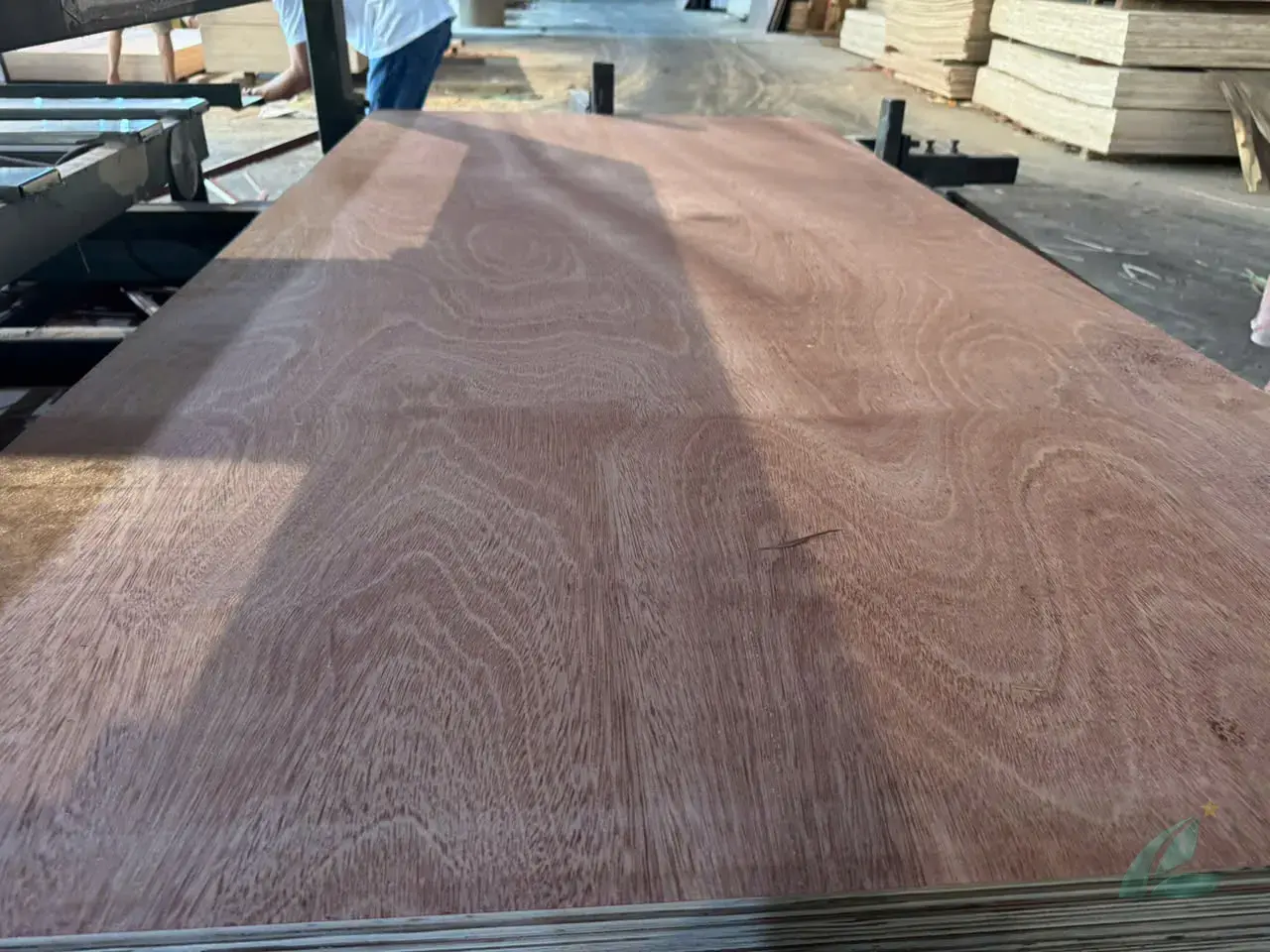 Gurjan plywood Vietnam premium export grade hcply 044