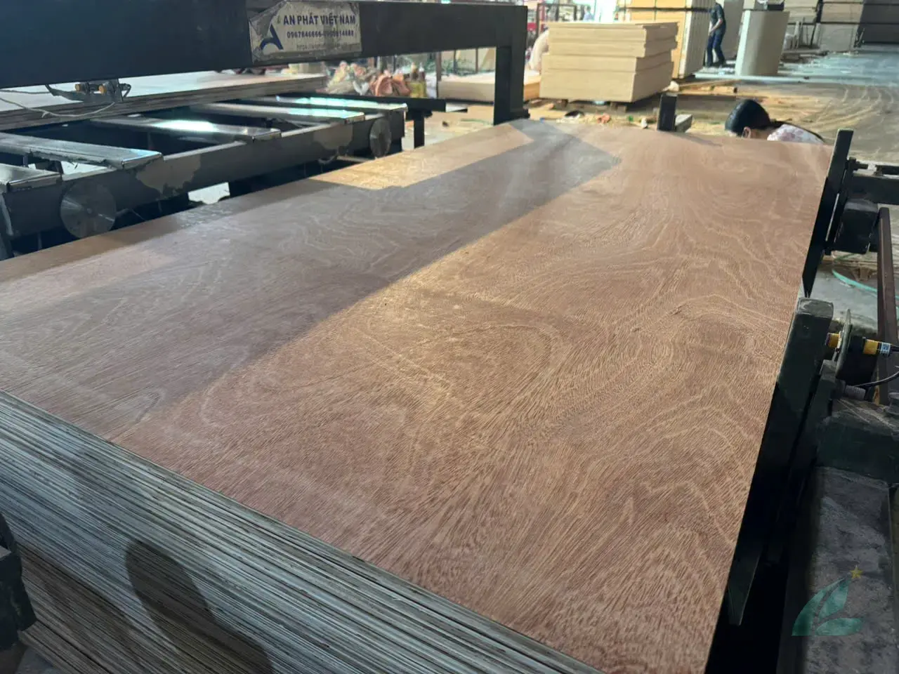 Gurjan plywood Vietnam premium export grade hcply 045