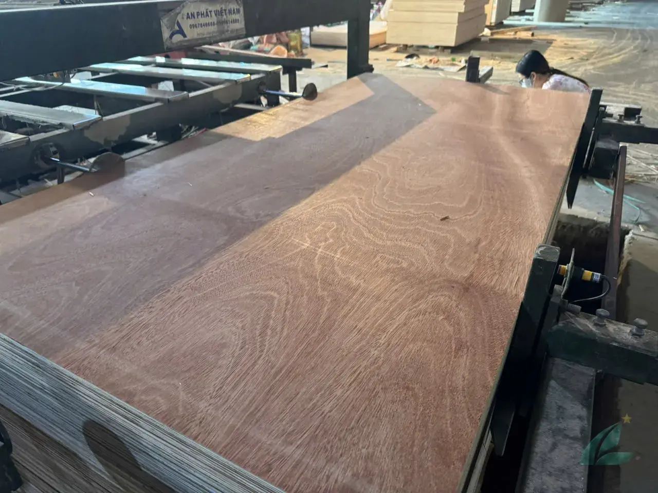 Gurjan plywood Vietnam premium export grade hcply 047