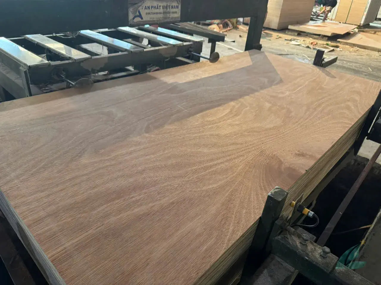 gurjan bintangor film faced plywood vietnam export india factory hcply