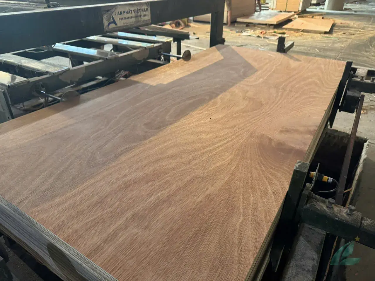 Gurjan plywood Vietnam premium export grade hcply 049