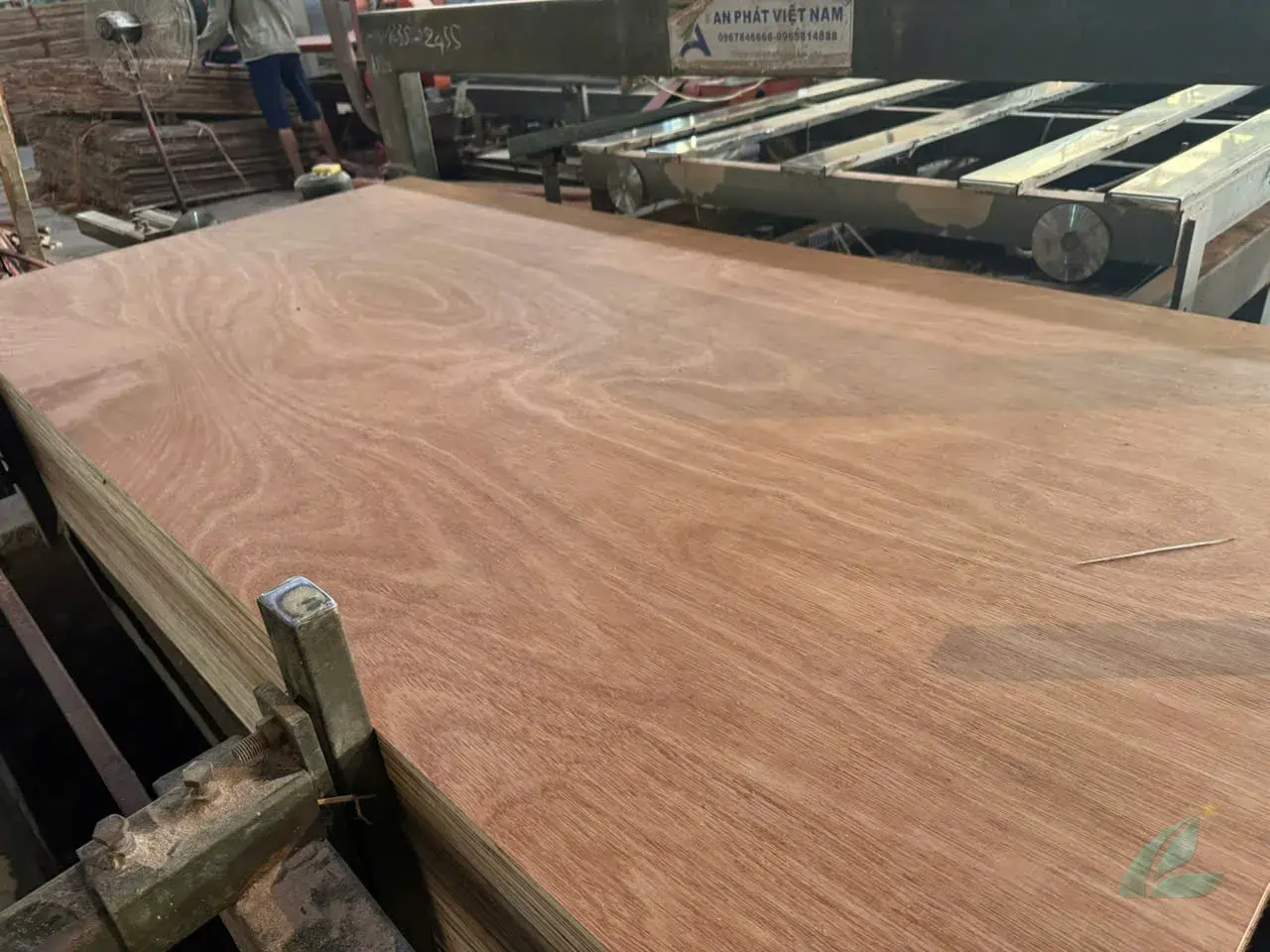 Gurjan plywood Vietnam — premium face veneer grade for Indian furniture and flush door manufacturing, HCPLY export