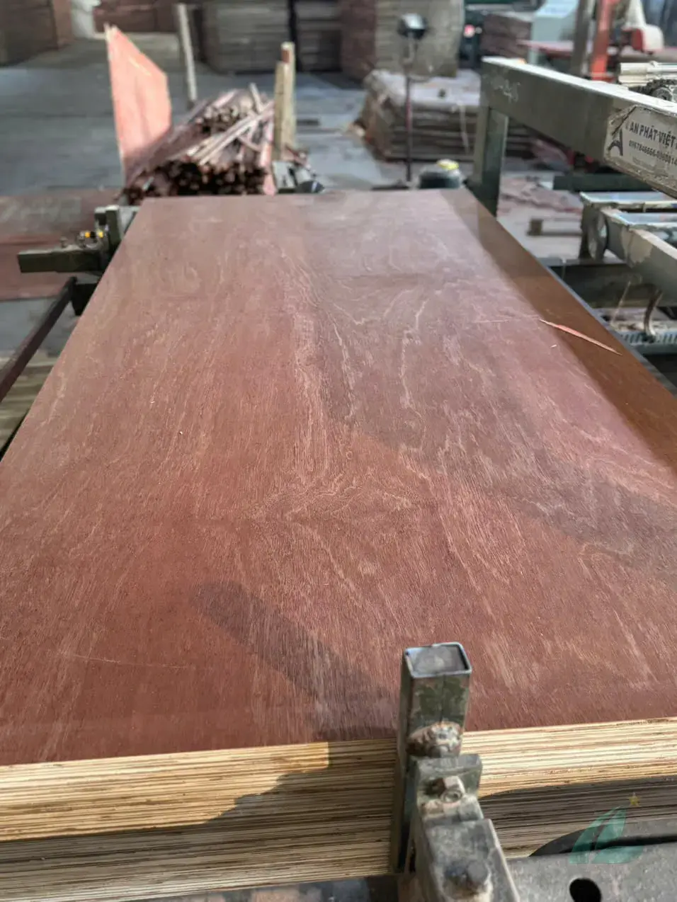 Gurjan plywood Vietnam premium export grade hcply 051