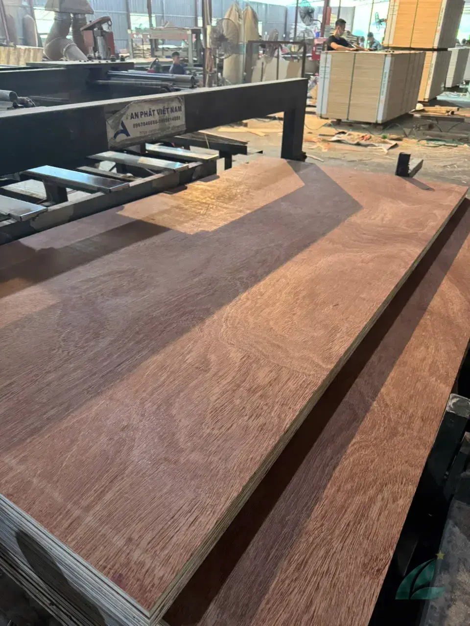 Gurjan plywood Vietnam premium export grade hcply 052