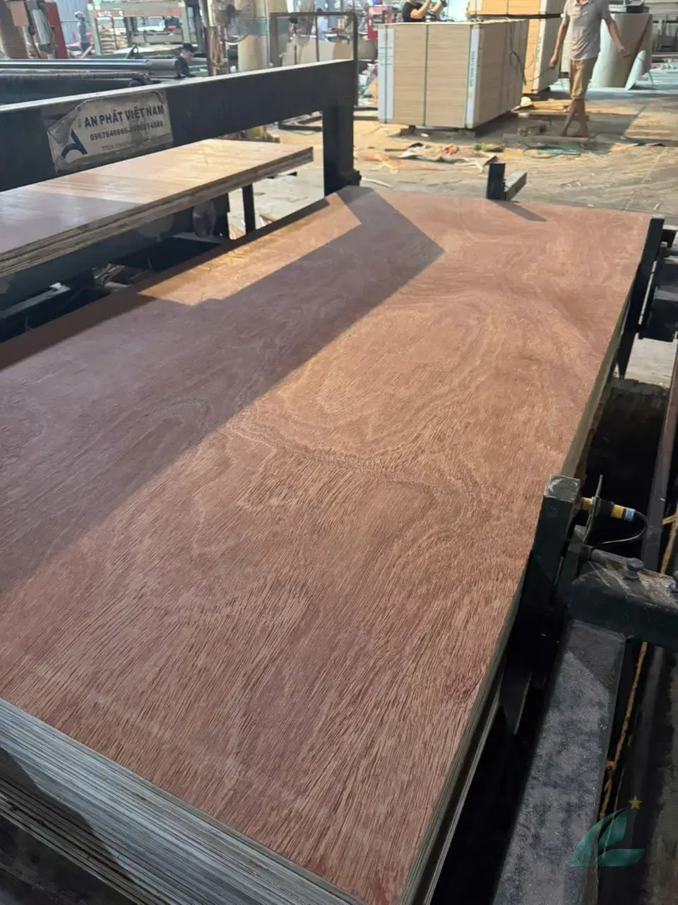Gurjan plywood Vietnam premium export grade hcply 053