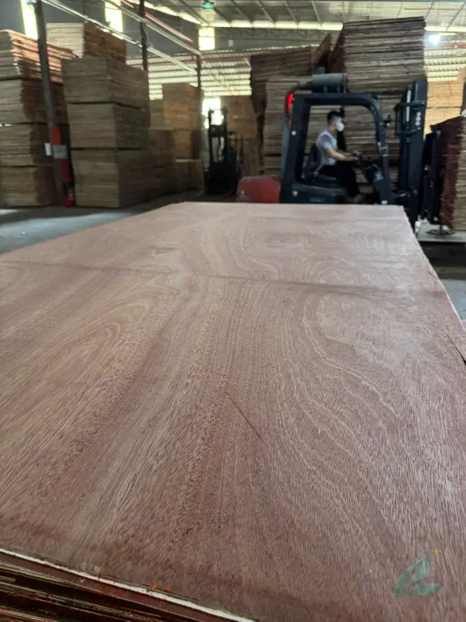 Gurjan plywood Vietnam premium export grade hcply 054