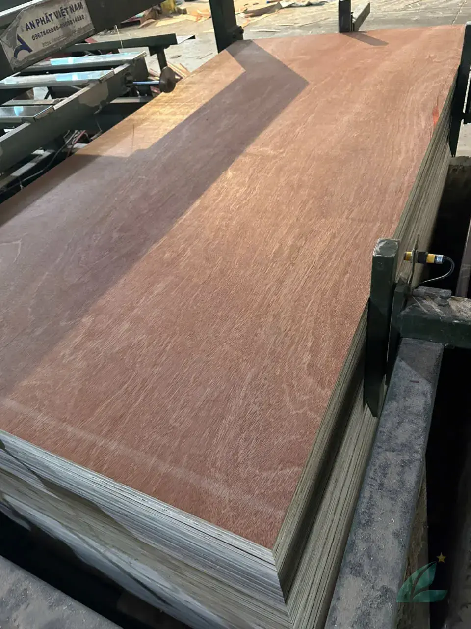 Gurjan plywood Vietnam premium export grade hcply 057