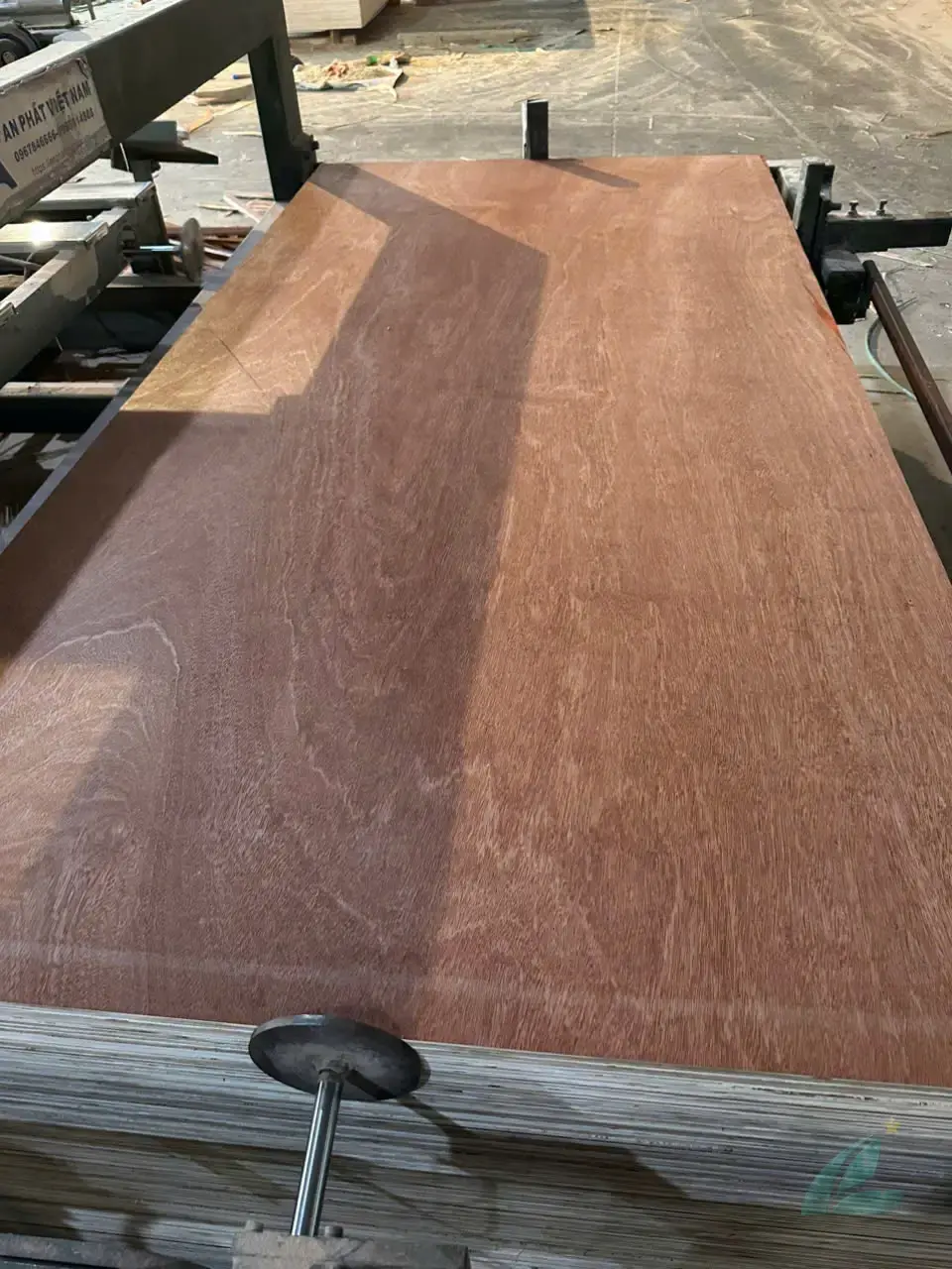 Gurjan plywood Vietnam premium export grade hcply 058